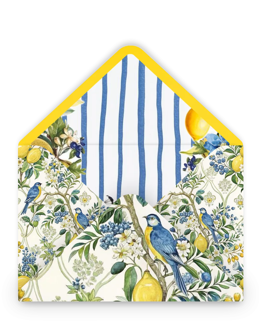 Modèle Citrons De Sicile – Soirée / Fête privée